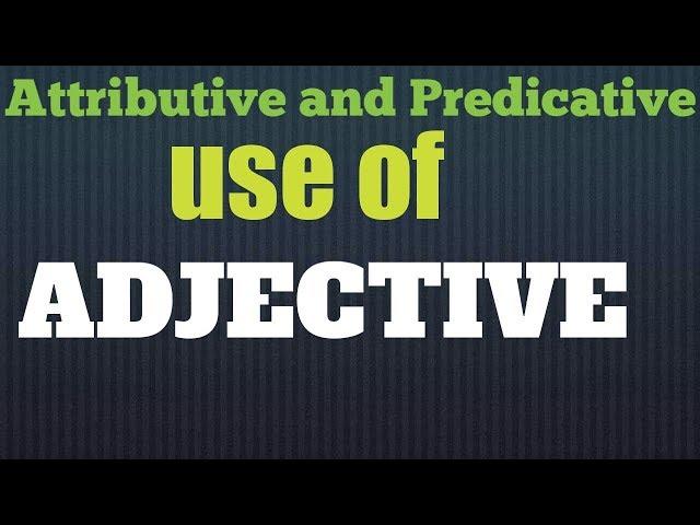 Attributive and predicative use of adjectives || English grammar for competitive exams