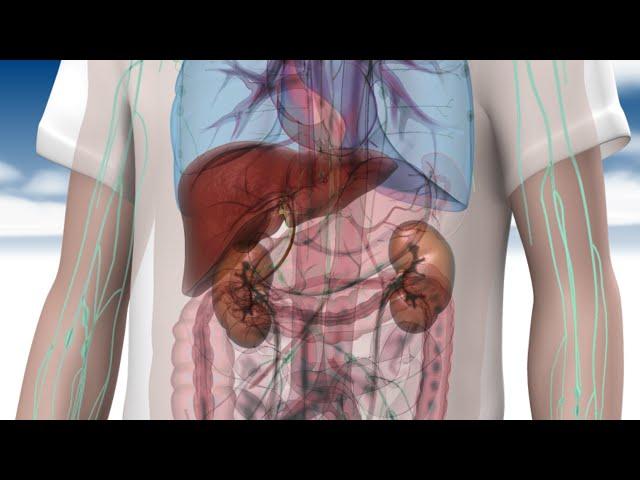 AXS Studio Medical Animation Show Reel