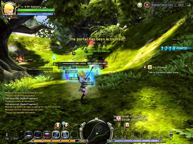 DragonNest