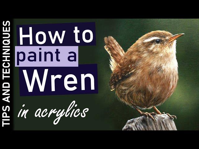 How to paint a realistic bird in acrylics | Painting a Wren in acrylics