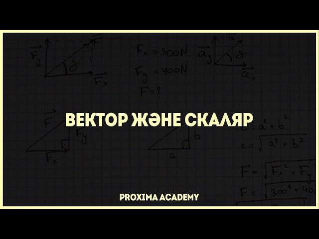 ВЕКТОР ЖӘНЕ СКАЛЯР | ФИЗИКА ТОЛЫҚ КУРС [1]