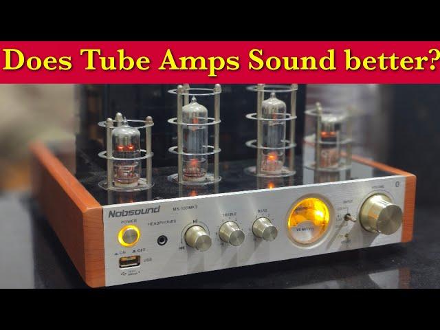 Budget Tube Amp | Nobsound MS 10D MK2 | tube amp vs solid state amp | explained in hindi | #stereo