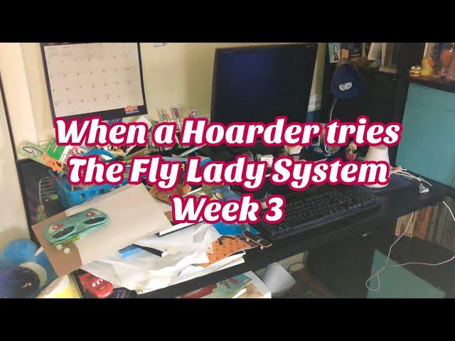 When a Hoarder TRIES the Flylady Cleaning Method Week 3! DeClutter, Clean with me! Shine your Sink!