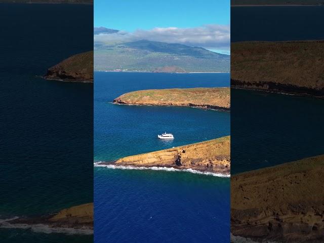 Pride of Maui moored for snorkeling at Molokini Crater  #shorts