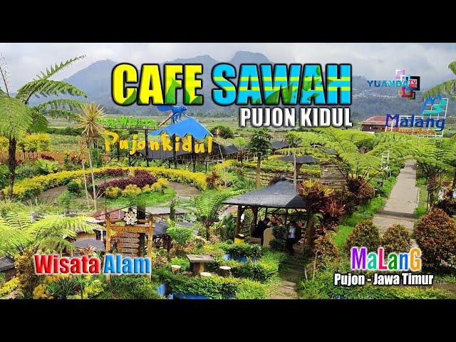 WISATA MURAH BATU MALANG || CAFE SAWAH PUJON KIDUL 2023