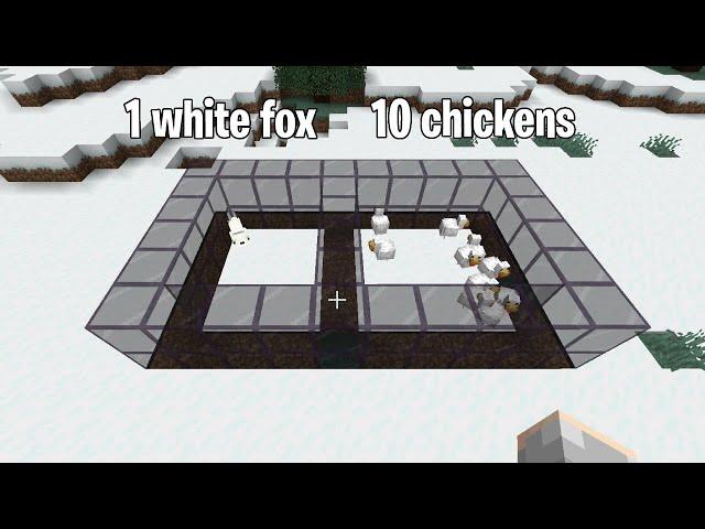 1 fox vs 10 chickens