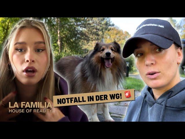 SOS in der Villa: Julia muss die Polizei rufen!  | La Familia – House of Reality #134