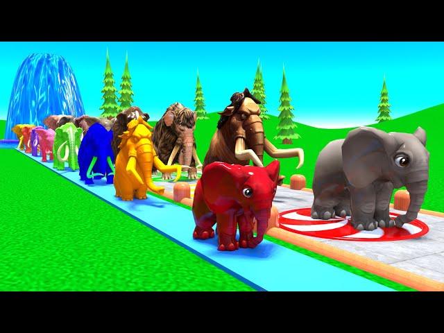 Paint Animals Mammoths and Elephants Size Comparison Fountain Crossing Animal Game Transformation