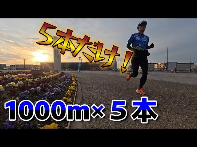 【1000m×5本インターバル走】さいたまマラソン５日前の調整【サブ305へ】