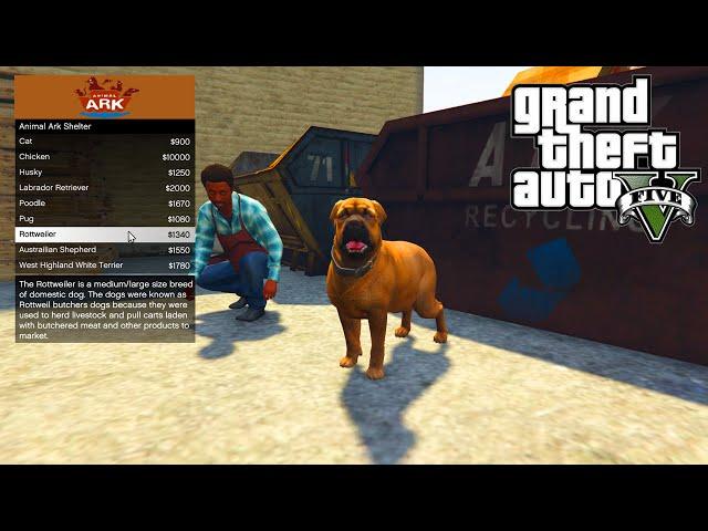 GTA 5 PC Mods - ANIMAL PET SHOP MOD!!! - GTA 5 Pet Mod w/ Wildlife Bodyguard Pets!