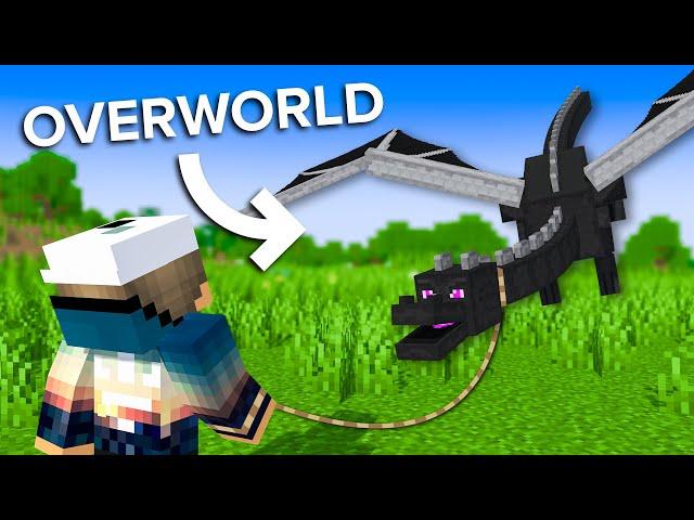 How To Bring the Ender Dragon to the Overworld