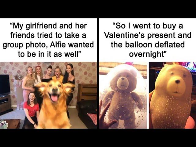 Heartwarming Posts To Combat The Negativity Of The World (NEW) | Happy Bears