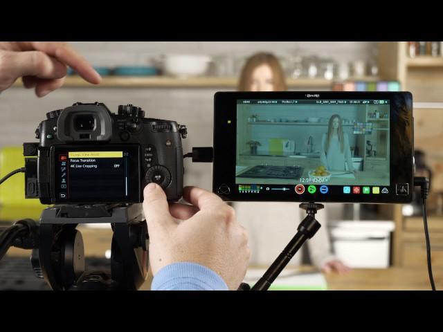 Lumix GH5 - How to use V LOGL View Assist