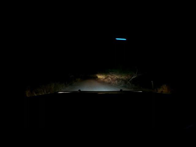 Night Drive