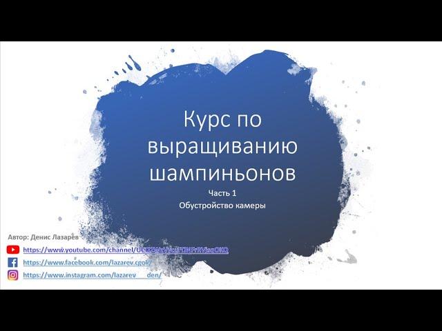 КУРСЫ ПО ВЫРАЩИВАНИЮ ШАМПИНЬОНОВ. Грибы! Строительство фермы. #DENLife