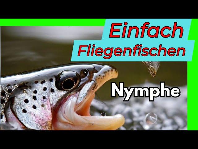 Einfach Fliegenfischen | Mit der Nymphe zum Fisch | Tutorial | Livebisse und Fangerfolg