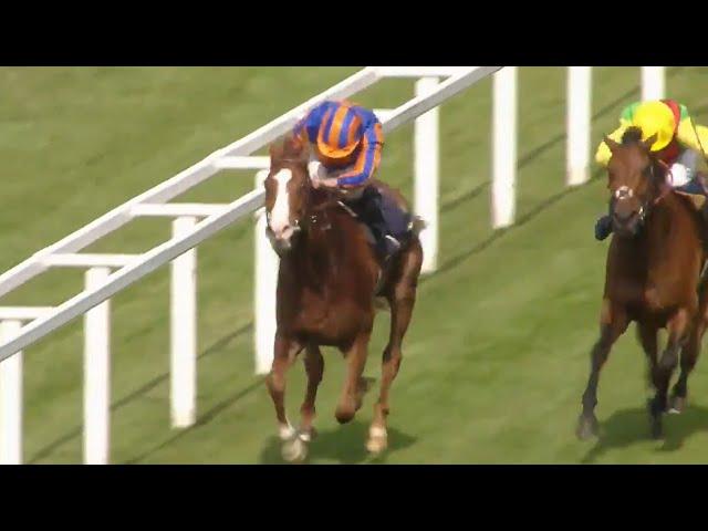 Love wins the 2021 Prince of Wales's Stakes at Royal Ascot!