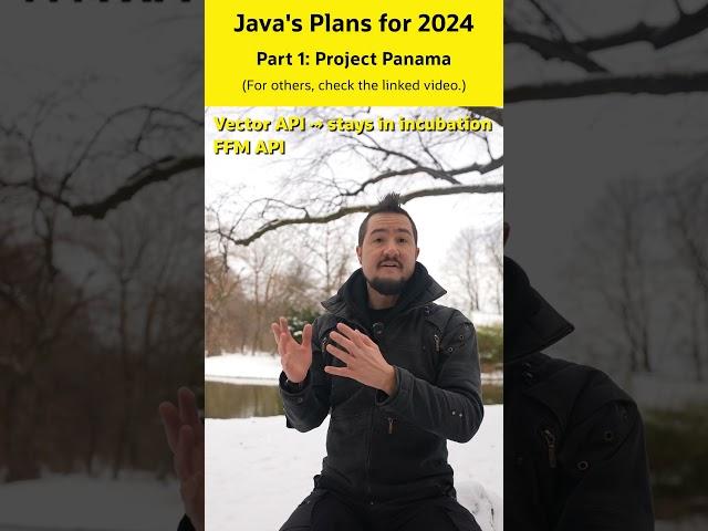 Project Panama's Plans for 2024 #Java #OpenJDK #IJN