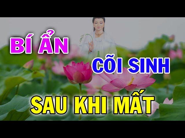 Bí Ẩn Cõi Sinh Sau Khi C...hết ! - Huyền Bí TV