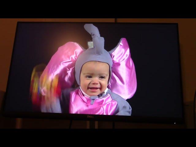 Baby Einstein in July Season 2 Episode 10: Baby Dolittle's World Animals