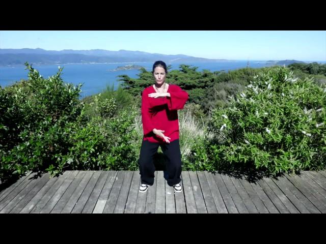 Tai chi 5 Minutes a Day Module 03 - Part the Horses Mane and Double Spiral - Easy For Beginners