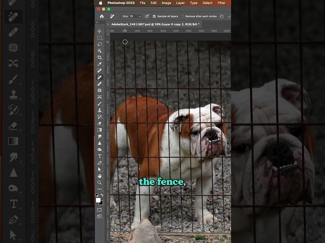 Photoshop Magic: Watch How I Remove a Fence in Seconds! 🪜 #shorts