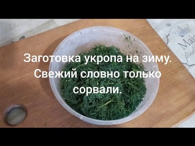 Заготовка укропа на зиму. Свежий вкус, словно только сорвали!