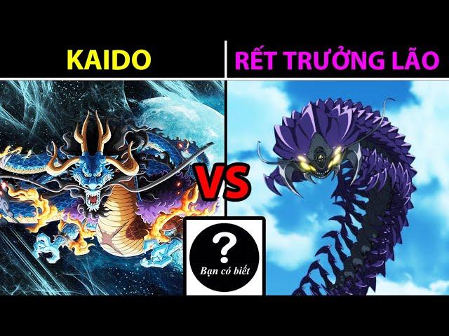 Tứ Hoàng KAIDO vs Rết Trưởng Lão, ai sẽ thắng #101 |Bạn Có Biết?