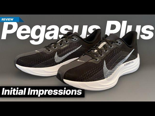 Nike Pegasus Plus - A legend returns, updated.