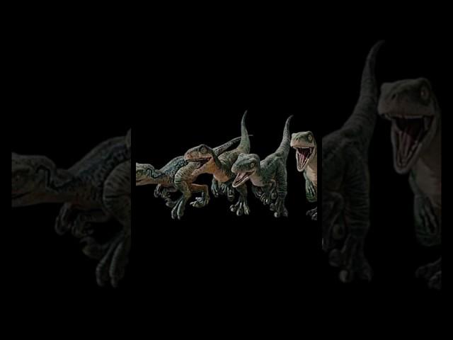 Esquadrão raptor beby #edit #bebyraptor