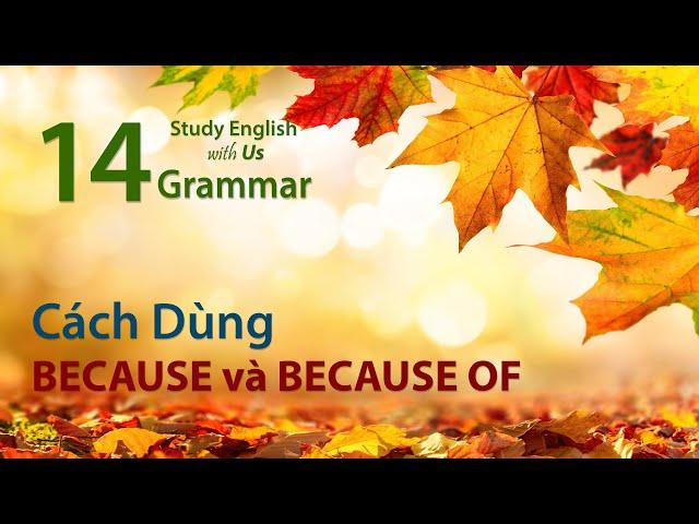 Văn Phạm 14: Cách Dùng BECAUSE & BECAUSE OF