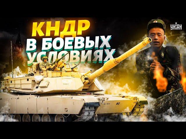  Дерзкие корейцы vs танки ВСУ. Видео легендарной схватки у Курска. КНДР в боевых условиях