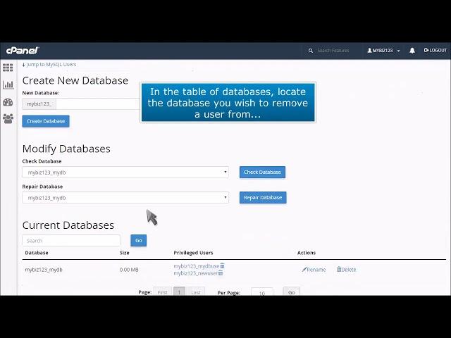 cPanel: How to Remove a User From a MySQL Database