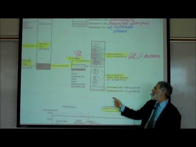 HEMATOLOGY; PART 1 by Professor Fink.wmv