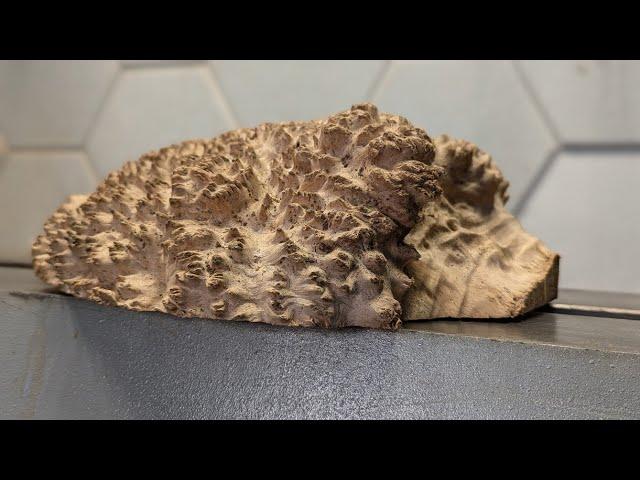 Turning a Hedgehog Burl: From Rough mallee to Perfect Pie