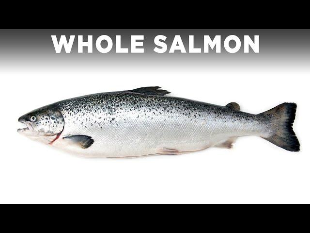 Cooking A Whole Salmon