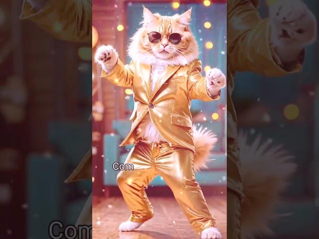 Dancing Cat: Unleashing Gangnam Style Vibes in the City! #trending #viral#cute cat dancing