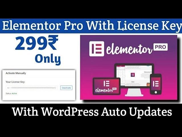 Download Elementor Pro With Original License Key At 299₹ Only