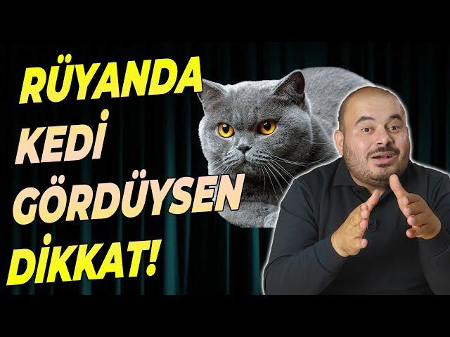 Rüyada kedi gördüysen buna dikkat, rüya tabirleri, islami rüya tabiri