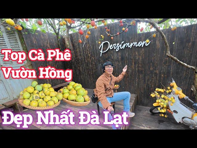 Đà Lạt Top Quán Cà Phê Vườn Hồng Đẹp Nhất Nên Ghé Một Lần