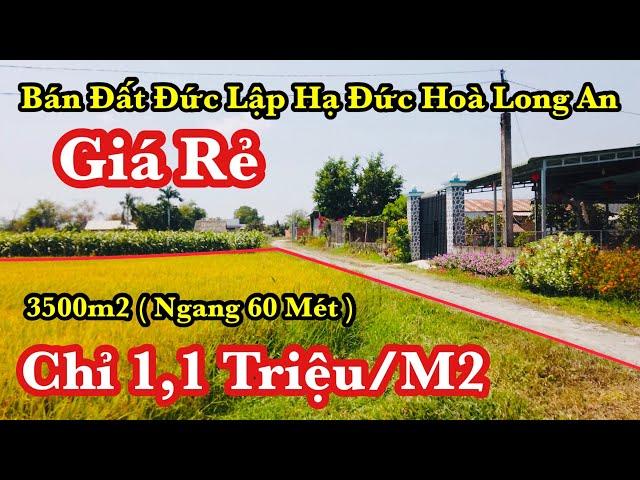 Bán Đất Đất Đức Lập Hạ Đức Hoà LONG An Giá Rẻ | 3500m2 ( Ngang 60 Mét ) Chỉ 1,1 Triệu/M2