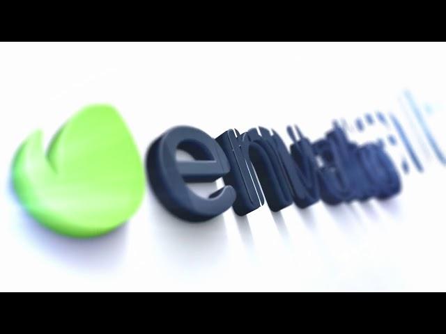 Elegant Strokes Reveal | After Effects Template