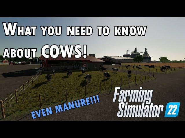 What you need to know about Cows in Farming Simulator 22