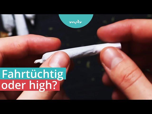 Cannabis-Legalisierung: Wie durchdacht ist der THC-Grenzwert? | Voss & Team | MDR