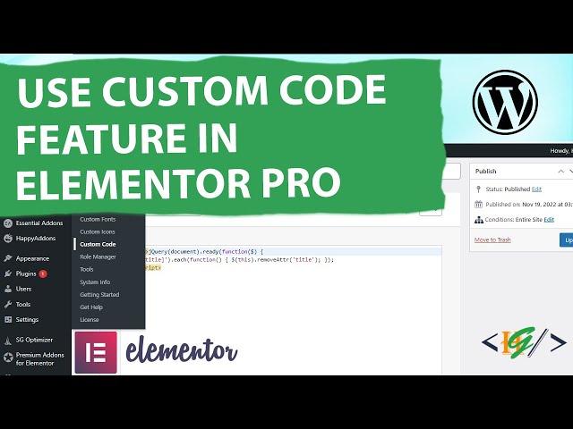 How to Use Custom Code Feature in Elementor Pro WordPress