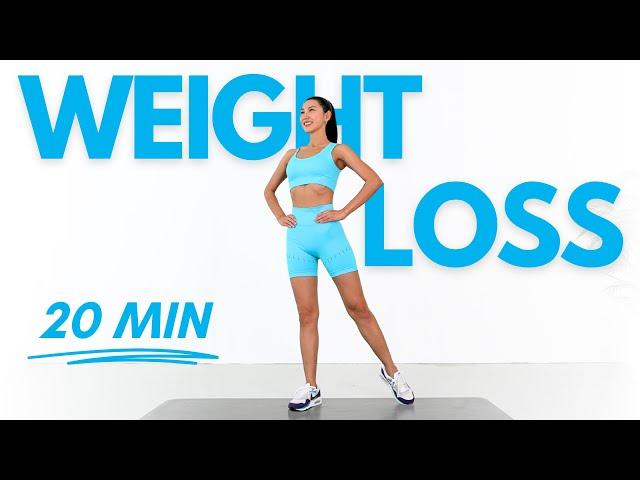 Standing Workout for Full Body Weight Loss - No Jumping, No Repeat, No Equipment