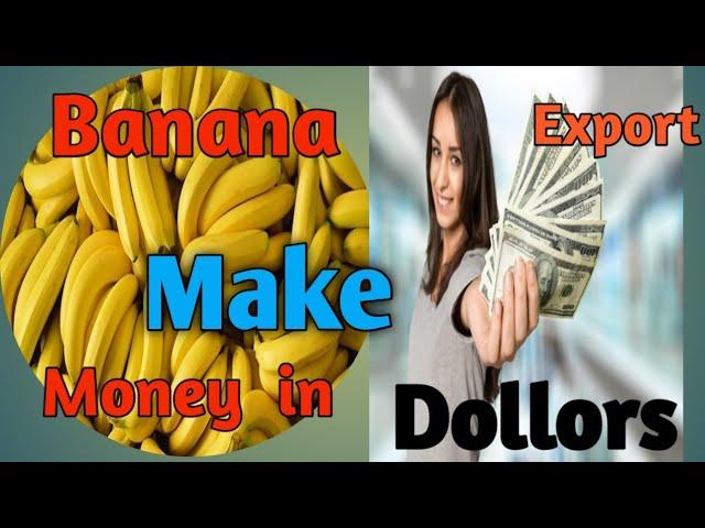 Banana Exporting for Iran || Banana Farming.