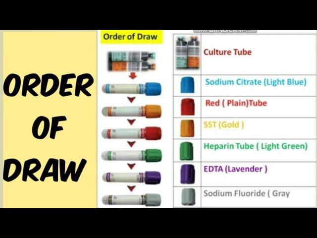Order of Draw | blood collection