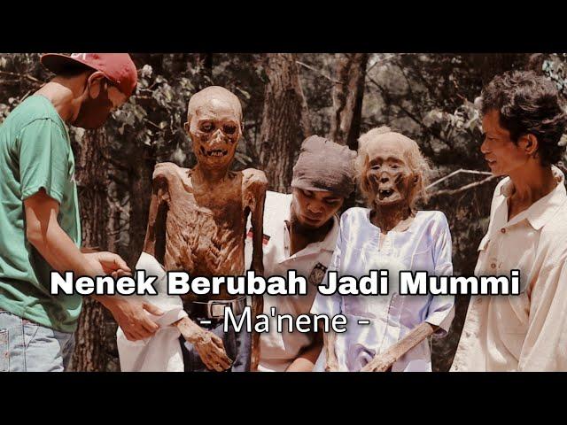 Ternyata Ini Rahasia Nenek Toraja di Ma'nene Bisa Berdiri Tegak, Jangan Lihat Jika Tak Sanggup