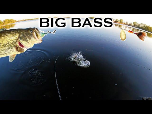 BIG BASS with My Son: Wade and Shore Fishing Teckel Bladewaker and Mepps for BIG Prespawn LMB